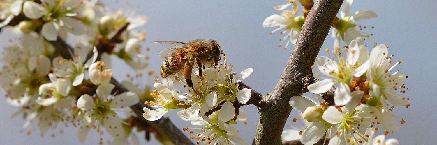 News und Inspiration für den Frühling aus der Schweiz und Liechtenstein